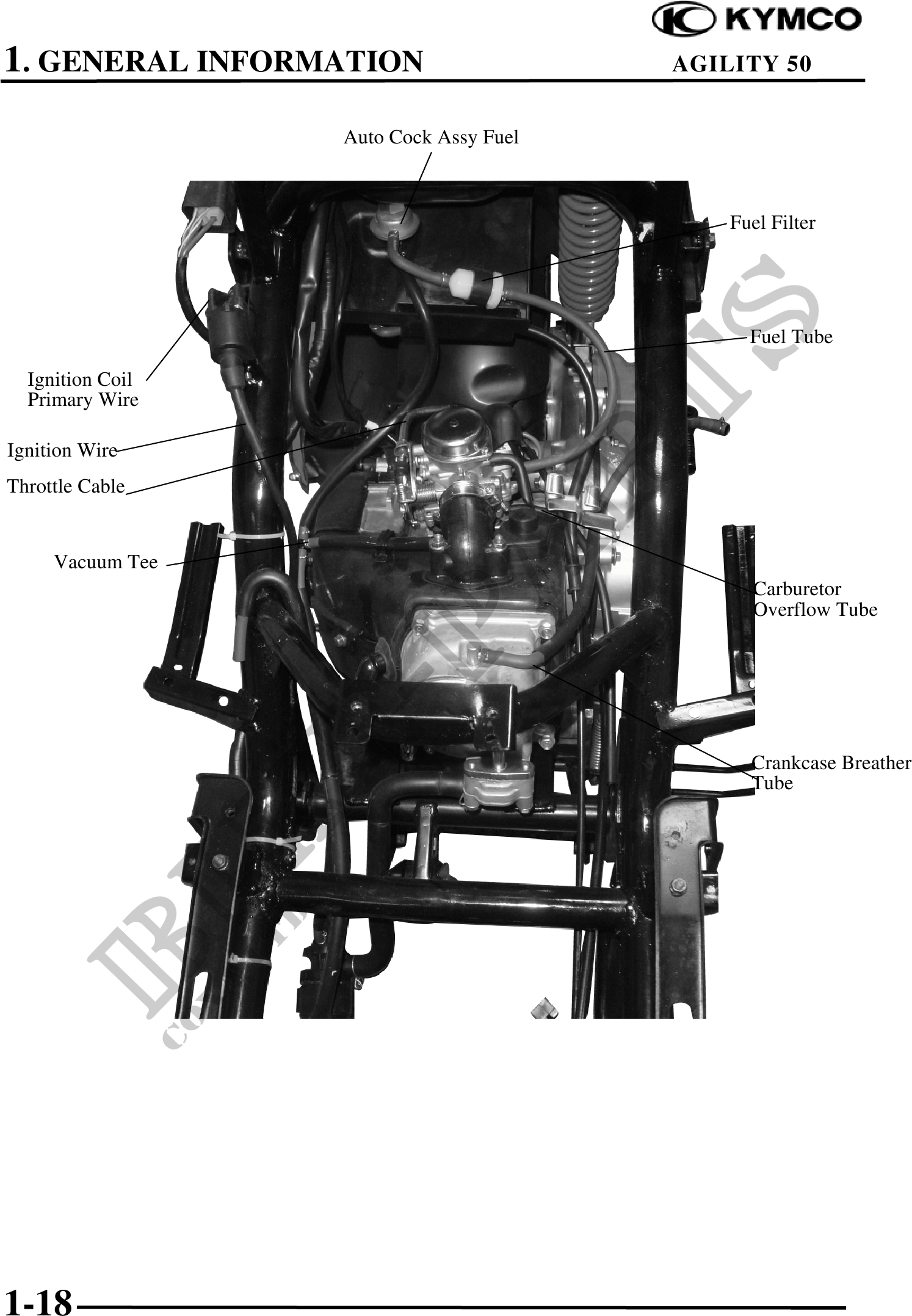 Microfiches